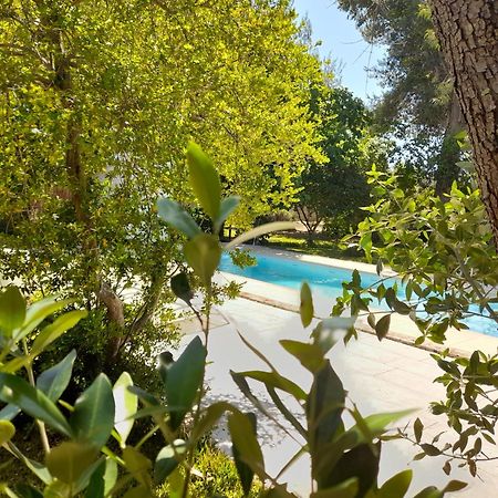 La Dimora Dei Gelsi Vila Castri di Lecce Exterior foto