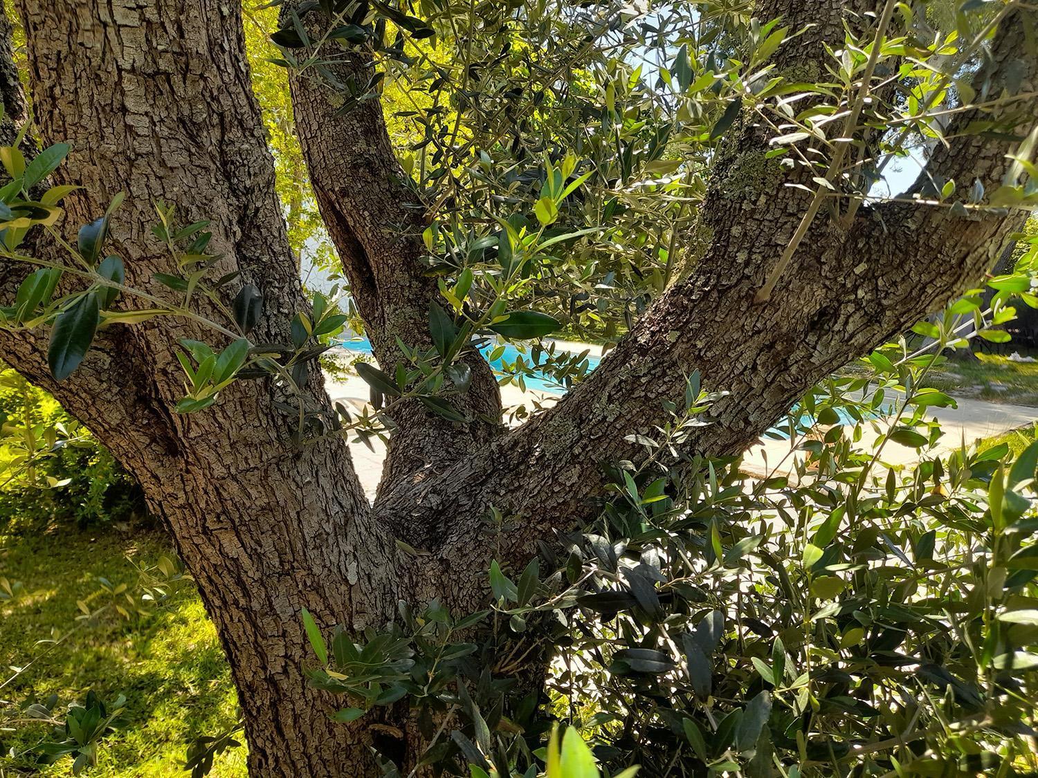 La Dimora Dei Gelsi Vila Castri di Lecce Exterior foto